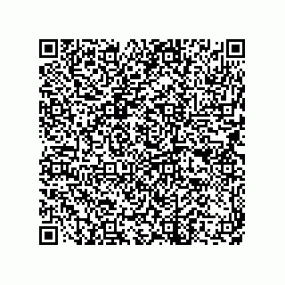 vCard 73822250331