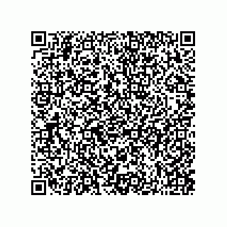vCard 73822250335