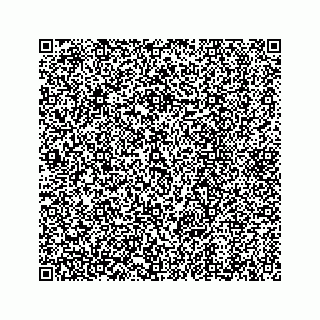 vCard 73822274411
