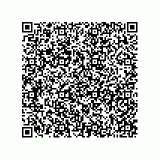 vCard 73822275217