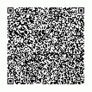 vCard 73822282300