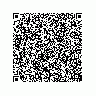 vCard 73822488113