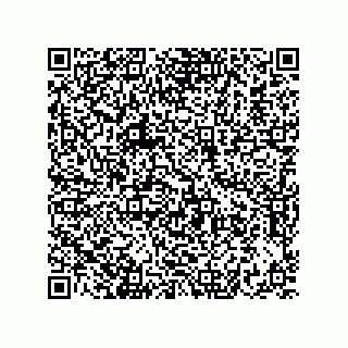 vCard 73822488119
