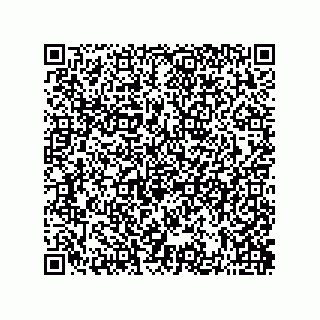 vCard 73822488128