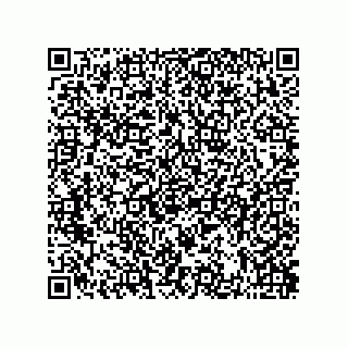 vCard 73822488132