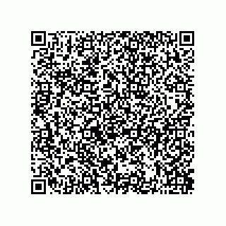 vCard 73822488153
