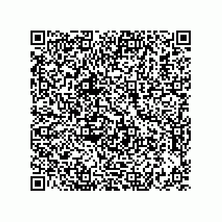 vCard 73822488159