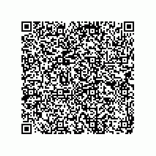 vCard 73822488161