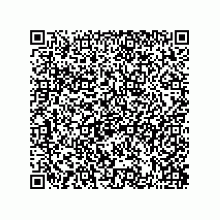 vCard 73822488172