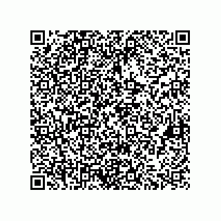 vCard 73822488176