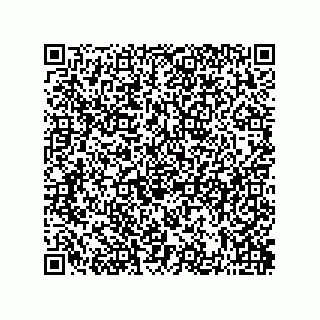 vCard 73822488193