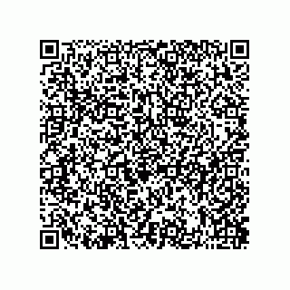 vCard 73822488195