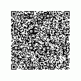 vCard 73822488197
