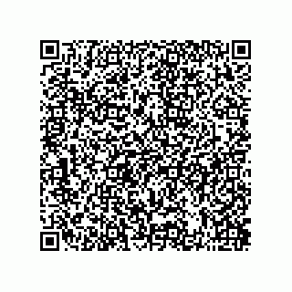 vCard 73822488299