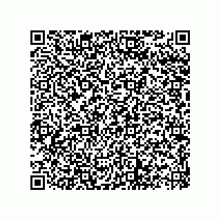 vCard 73822488809