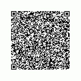 vCard 73822488811