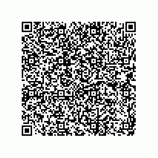 vCard 73822488817