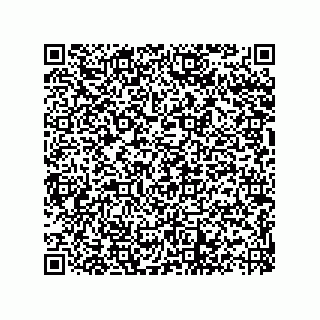 vCard 73822488819