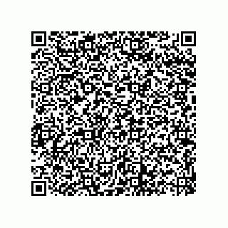 vCard 73822488829