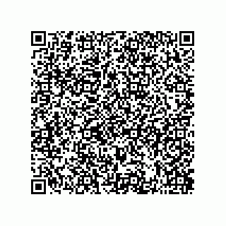 vCard 73822488832