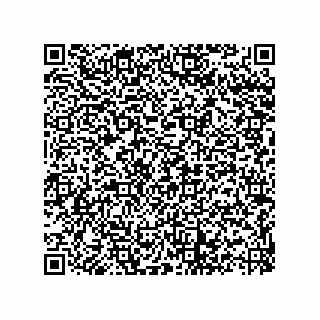 vCard 73822488841
