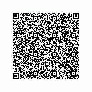 vCard 73822488879