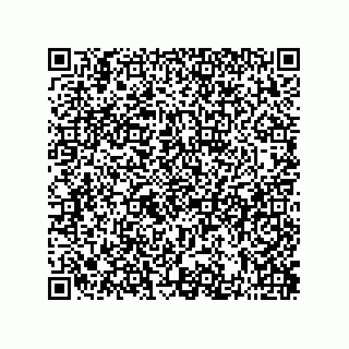 vCard 73822488895