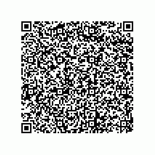 vCard 73822488899
