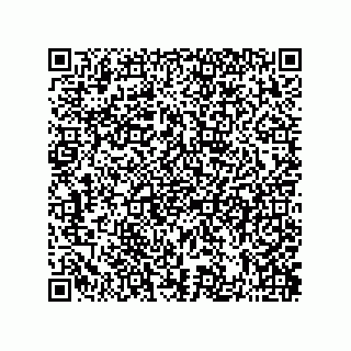 vCard 73822489900
