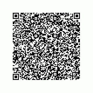 vCard 73822570029