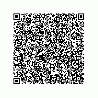vCard 73822570200