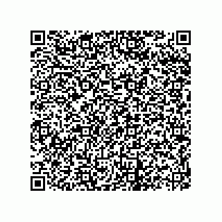 vCard 73822570241