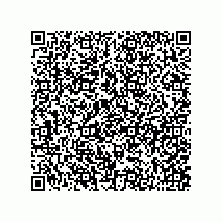 vCard 73822570250