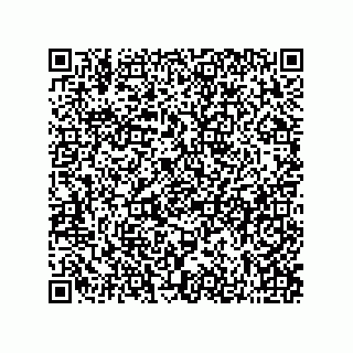 vCard 73822570297