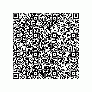 vCard 73822570303