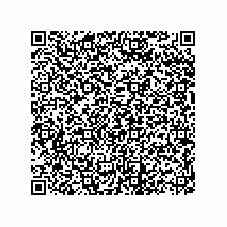 vCard 73822570311