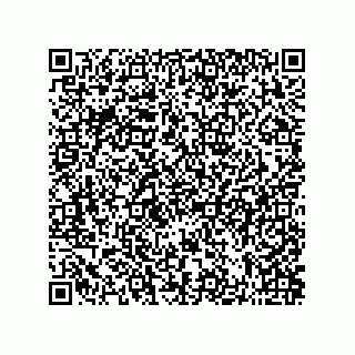 vCard 73822700398