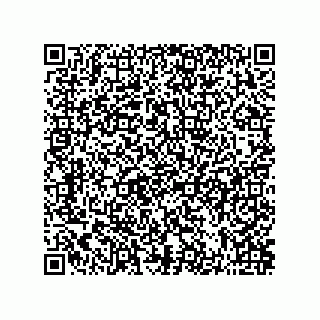 vCard 73822700483