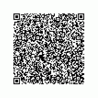 vCard 73822735333