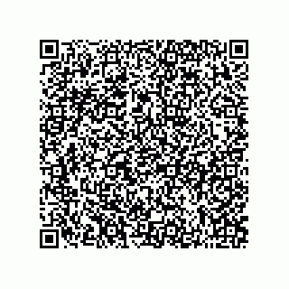 vCard 73822933211