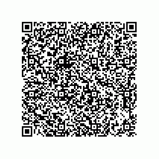 vCard 73822933231