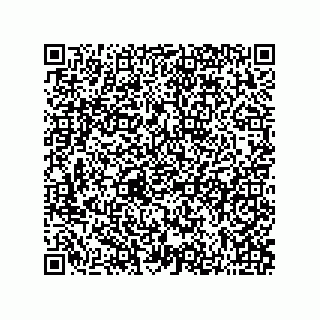 vCard 73822933263