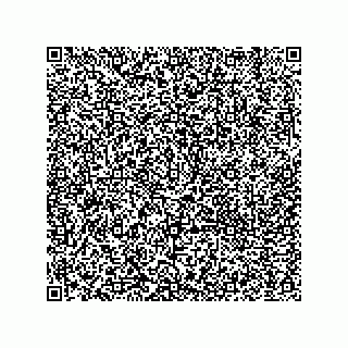 vCard 73822933335