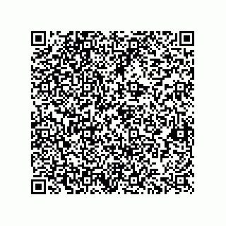 vCard 73822933376