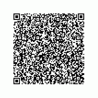 vCard 73822933383