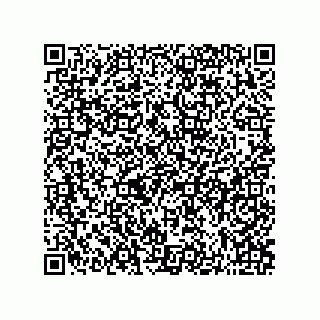 vCard 73822933387
