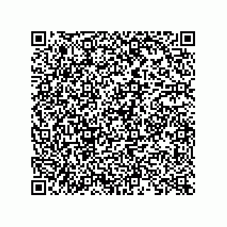 vCard 73822953280
