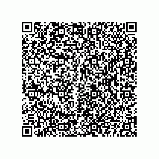 vCard 73822953295