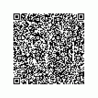 vCard 73822953300