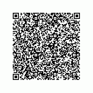 vCard 73822953313